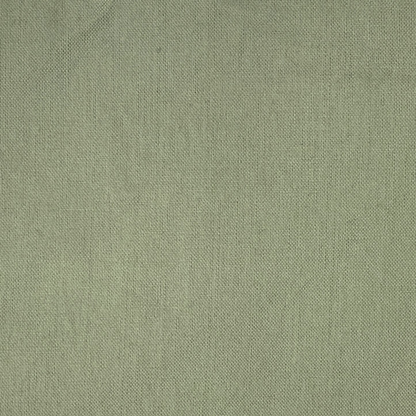 Sage Cotton: 4 yds