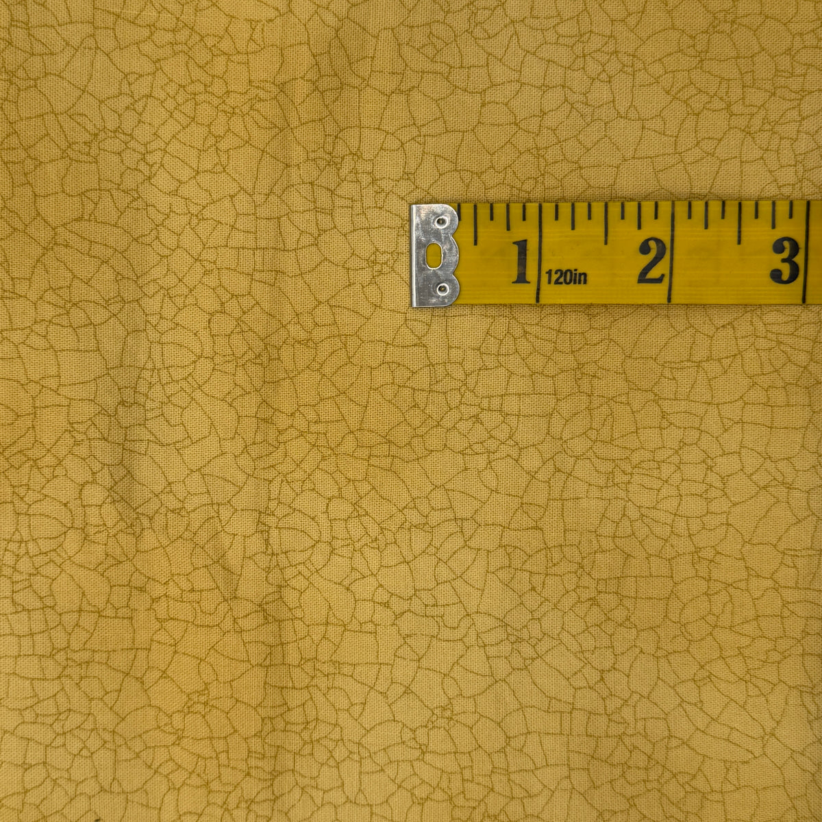 Cracked Surface in the Desert Cotton: 1 yd