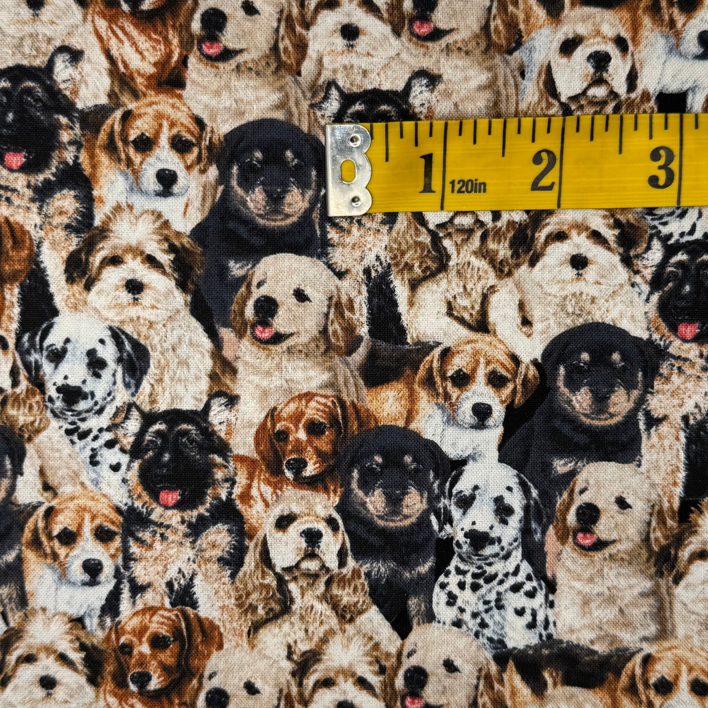 All the Dogs Cotton: 1.25 yds