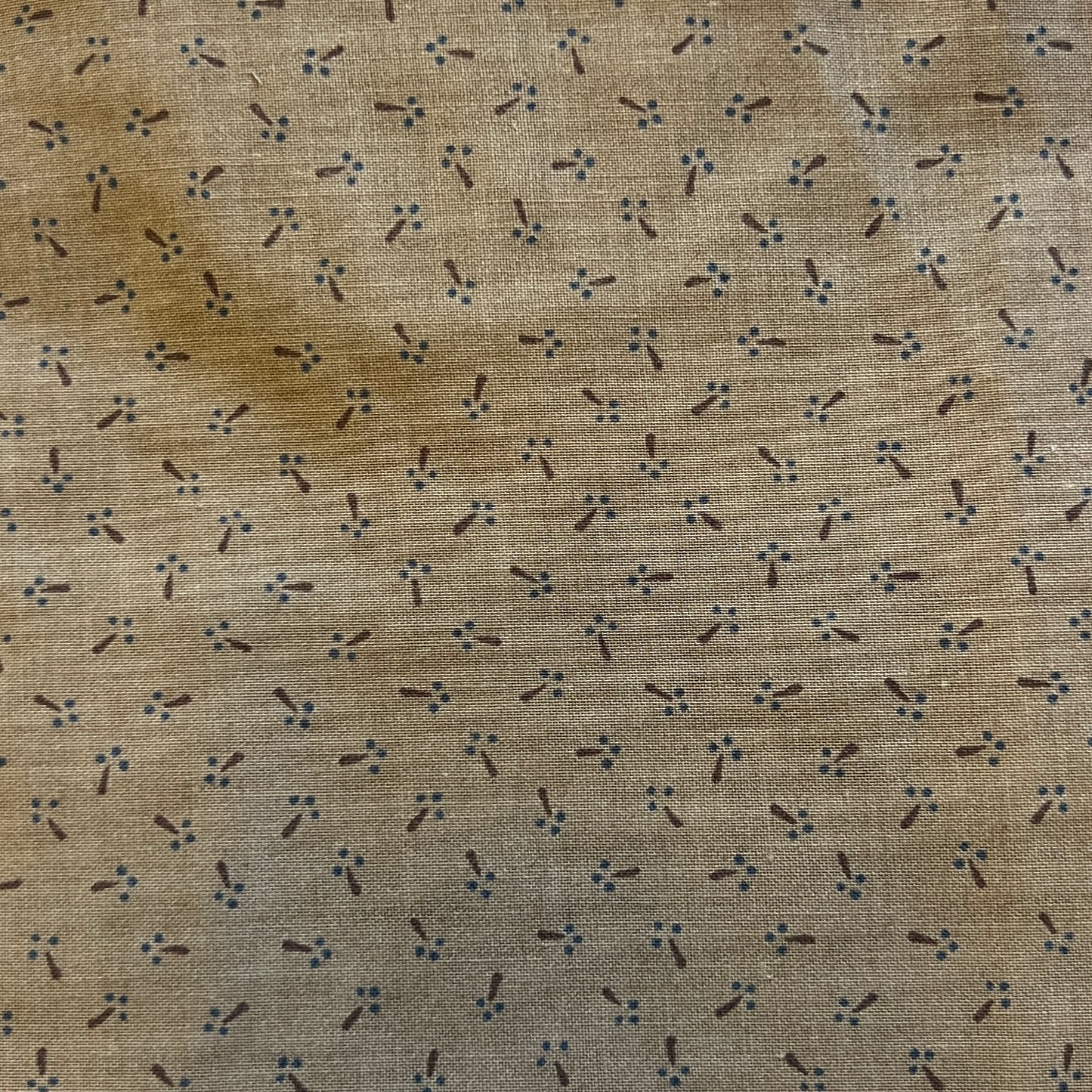Dots & Dashes Cotton: 1 yd
