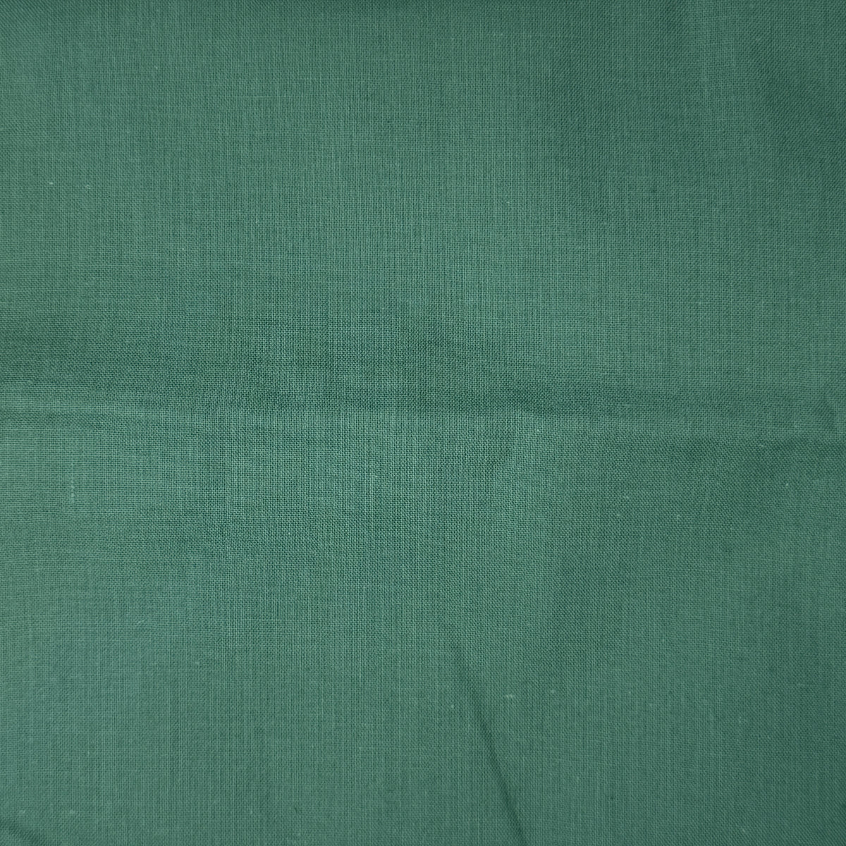 Light Green Cotton: 1 yd
