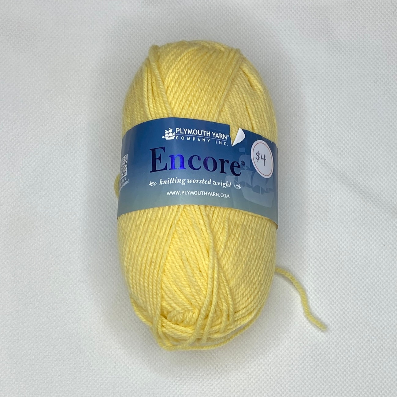 Encore Worsted Weight Yarn: 2 Skeins