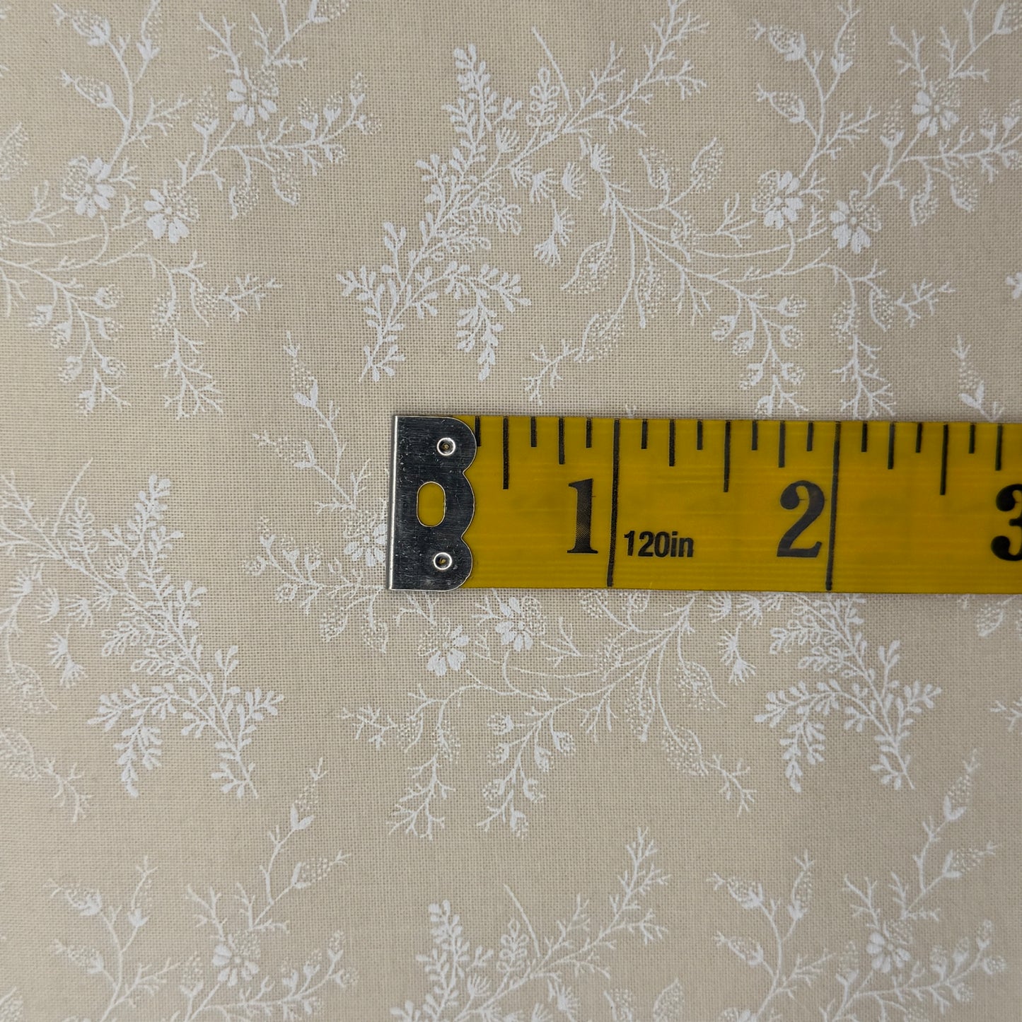 Cream With White Line Work Flowers Wideback Cotton: 3 yds