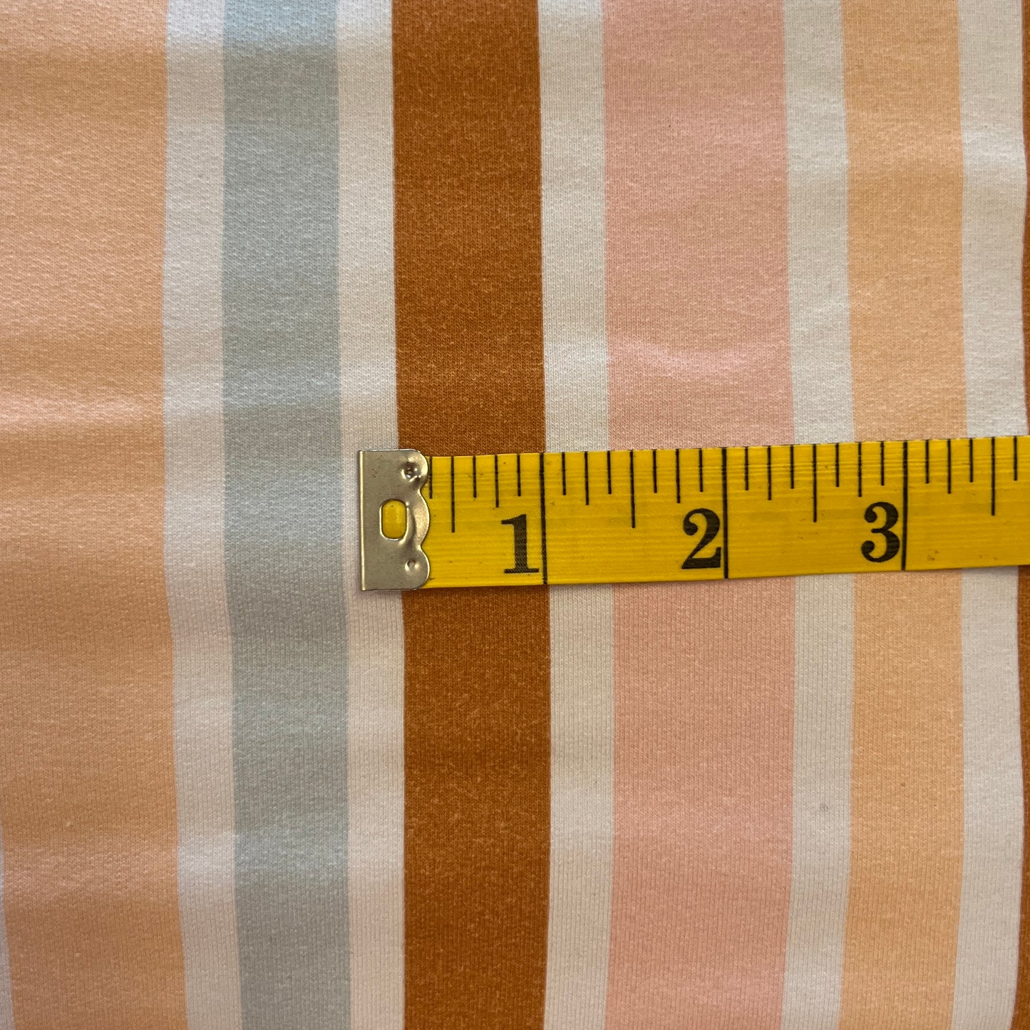 Sherbet Stripe Jersey: 2 yds