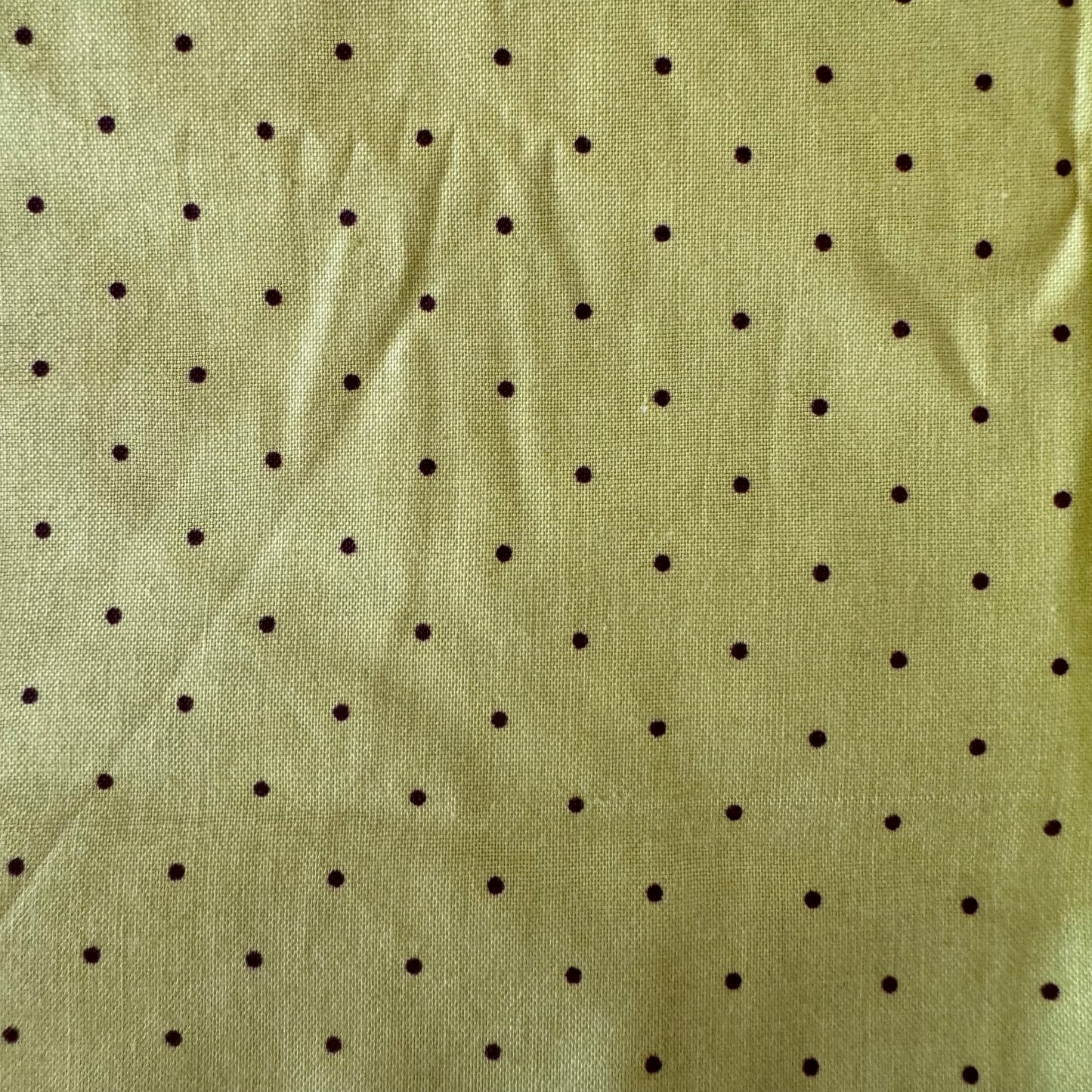 Olive with Brown Mini Dots Cotton: 2.5 yds
