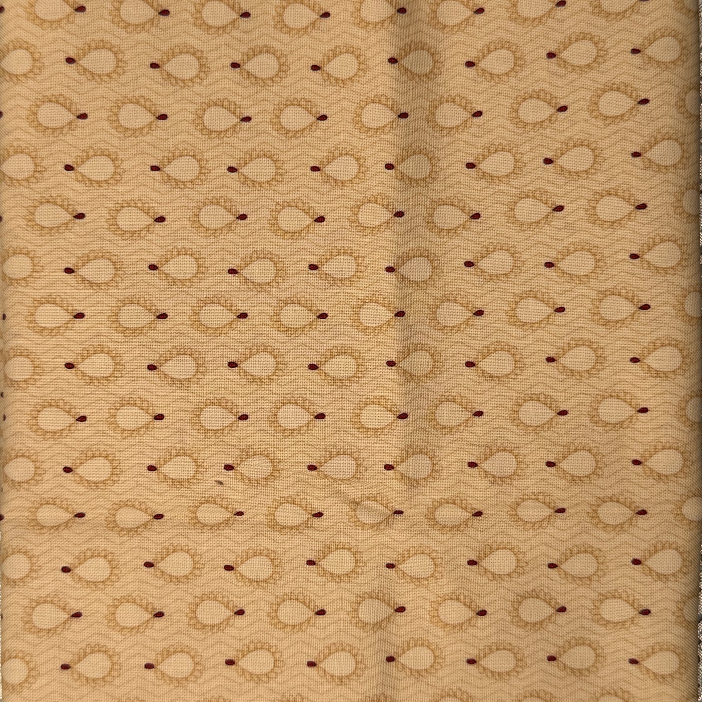 Cream Feathers Cotton: 1 yd