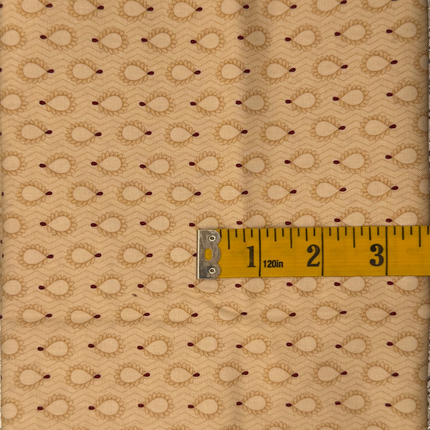 Cream Feathers Cotton: 1 yd