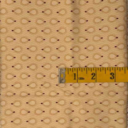 Cream Feathers Cotton: 1 yd