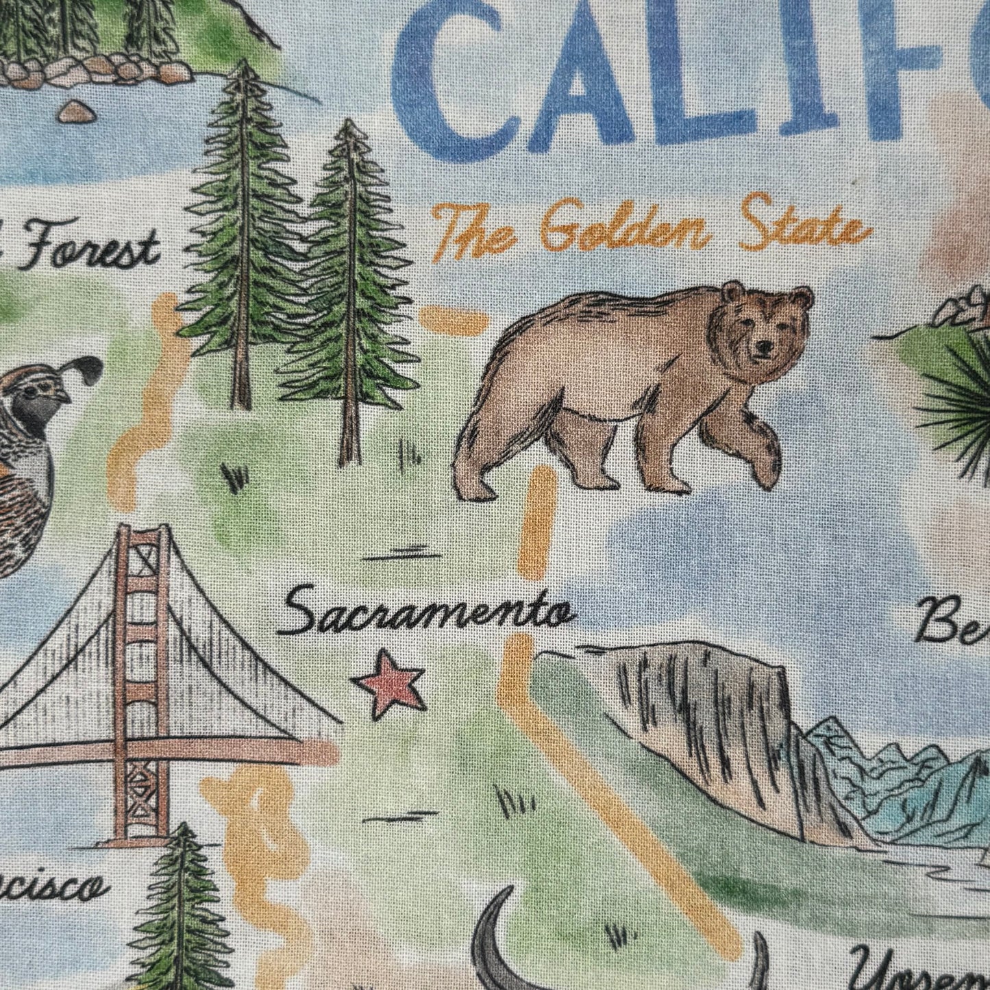 California Cotton Blend: 2 yds