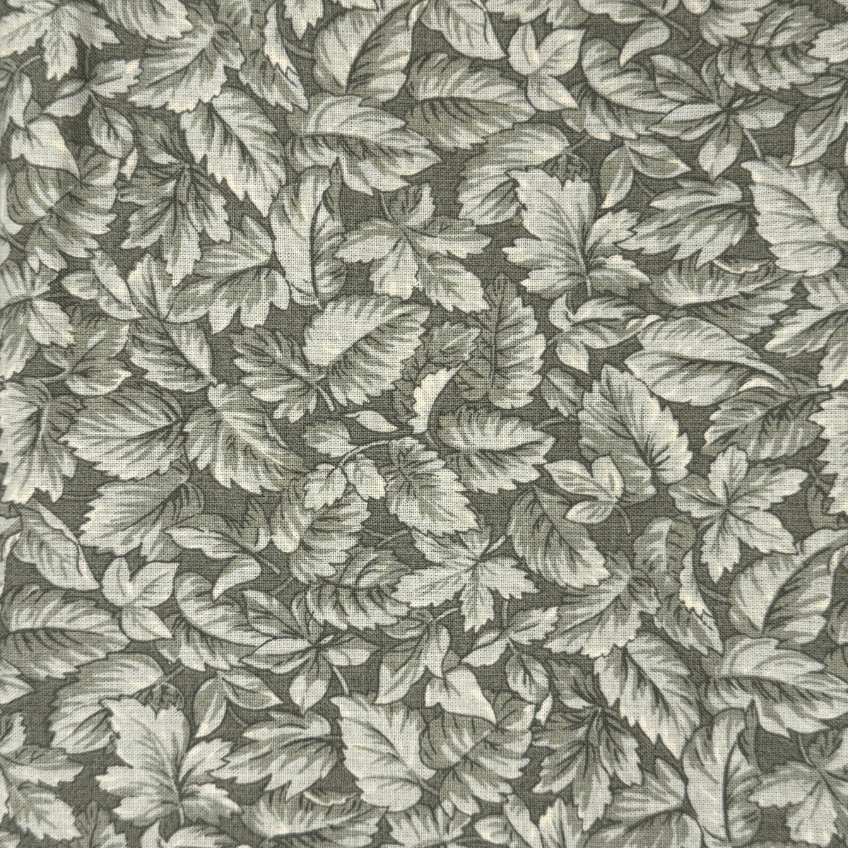 Grayish Green Leaves Cotton: 1 yd