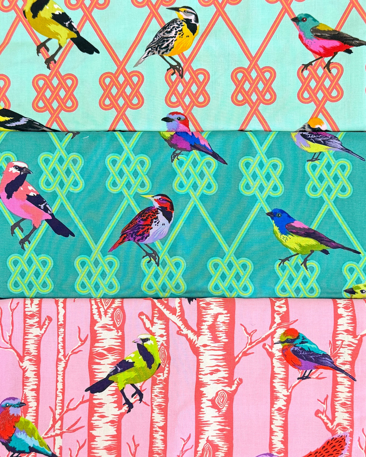 Tula Pink Birds Cotton Bundle