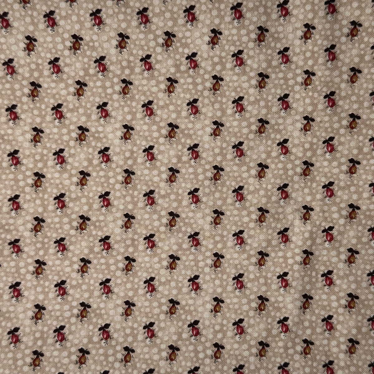 Cream With Mini Pears Cotton: 1 yd