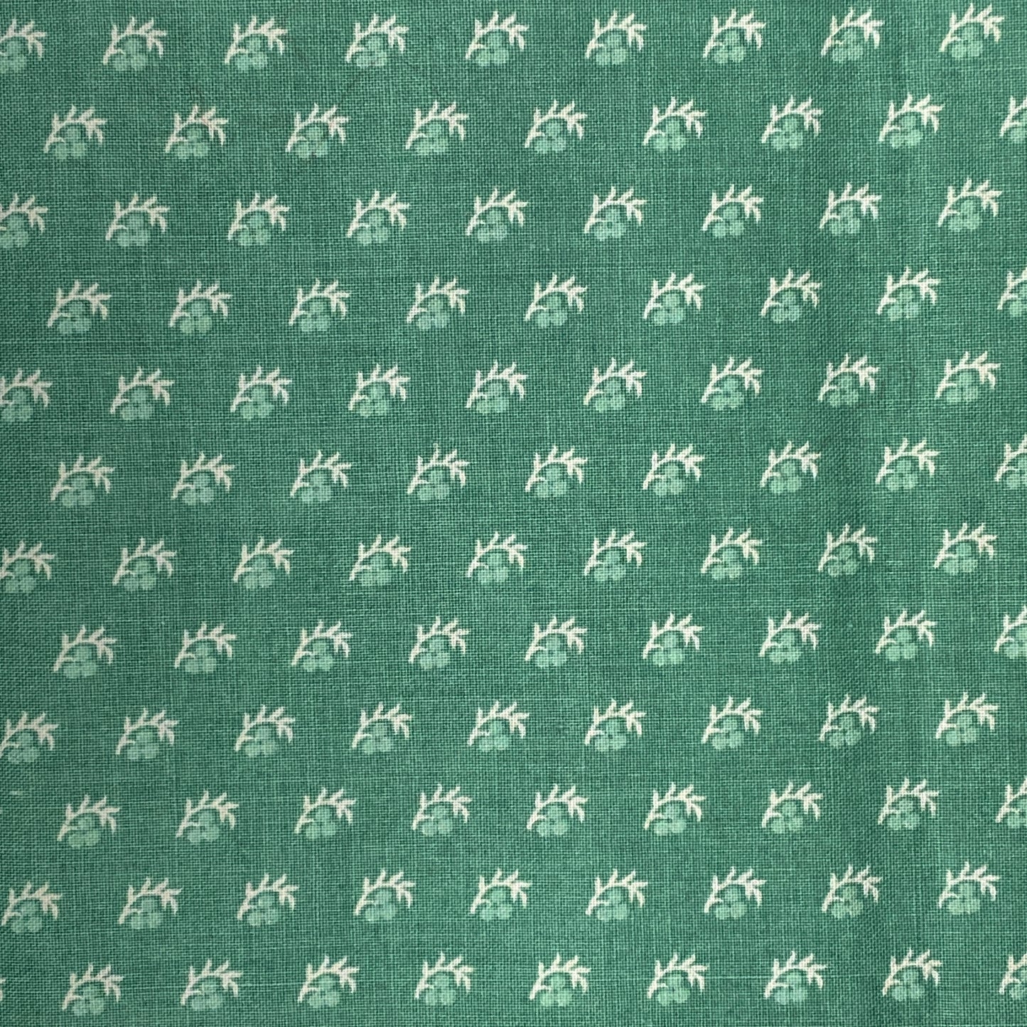 Green Berries Cotton: 4 yds