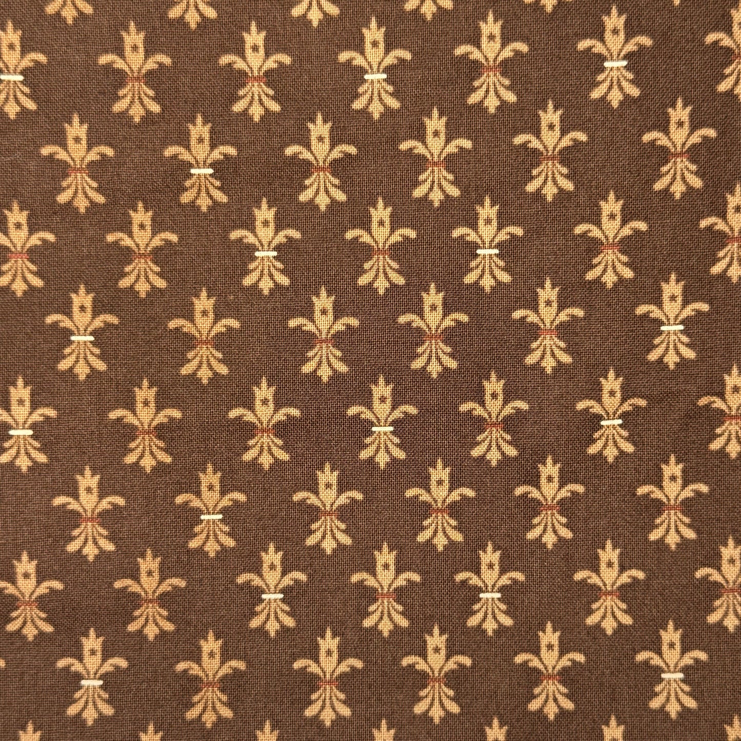 Brown & Cream Fleur De Lis Cotton: 5 yds