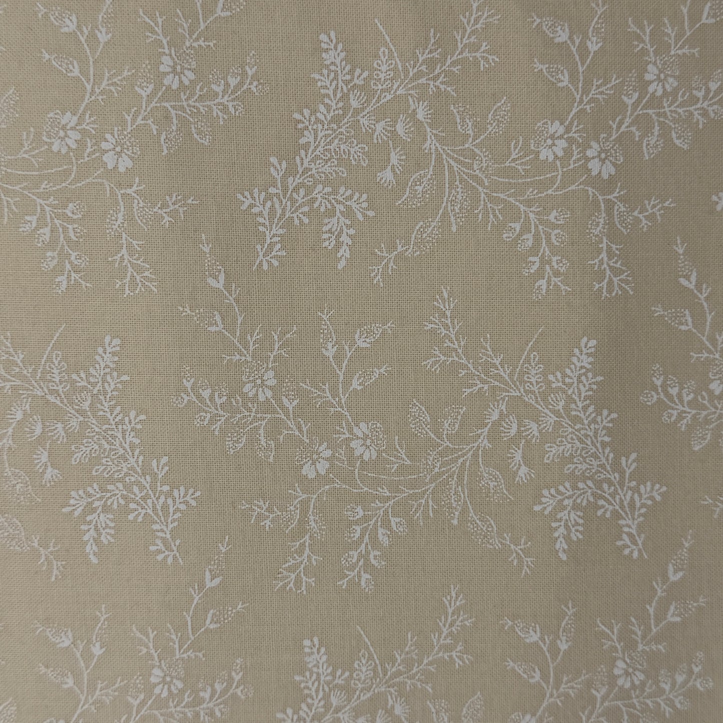 Cream With White Line Work Flowers Wideback Cotton: 3 yds