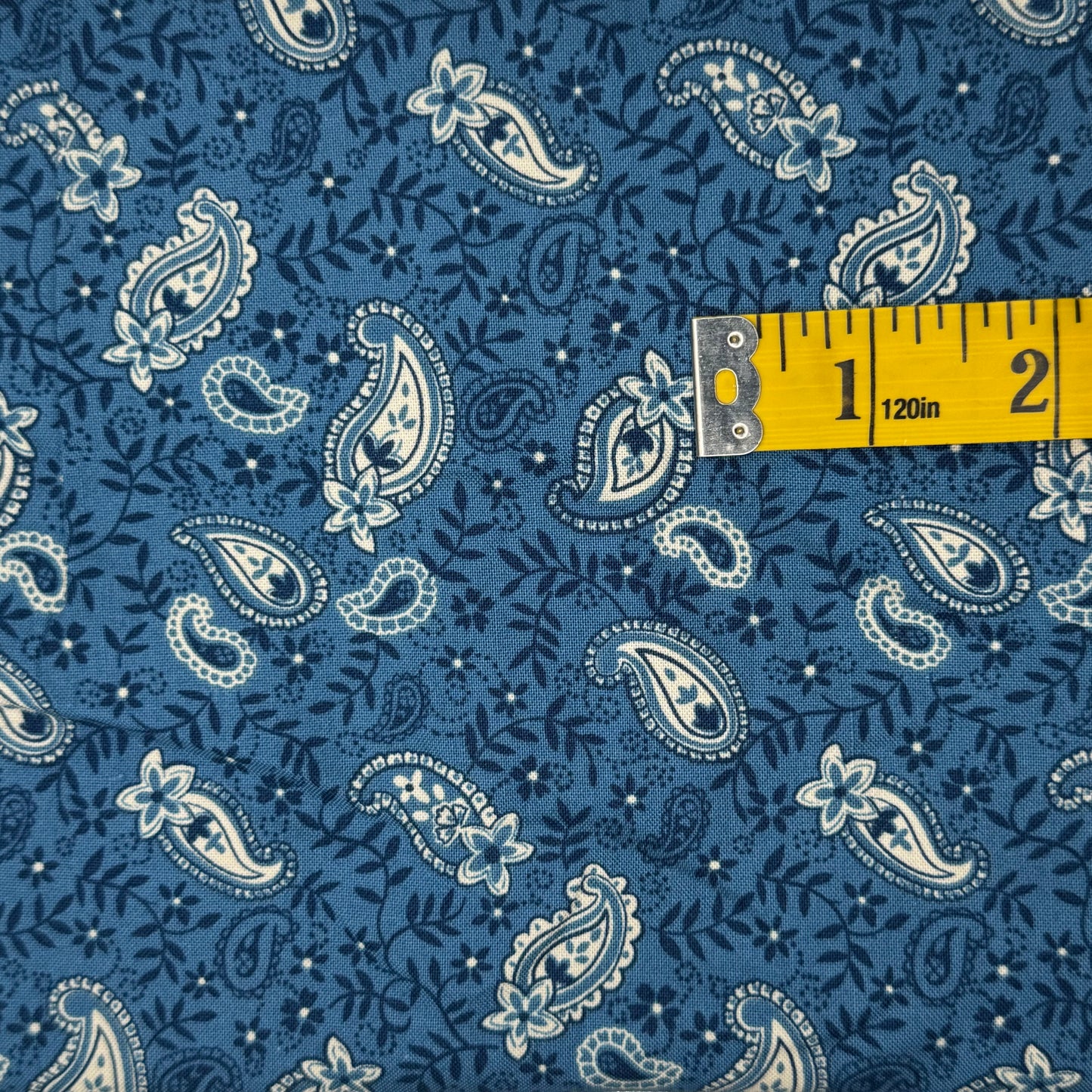 Blue Paisley Cotton: 2 yds