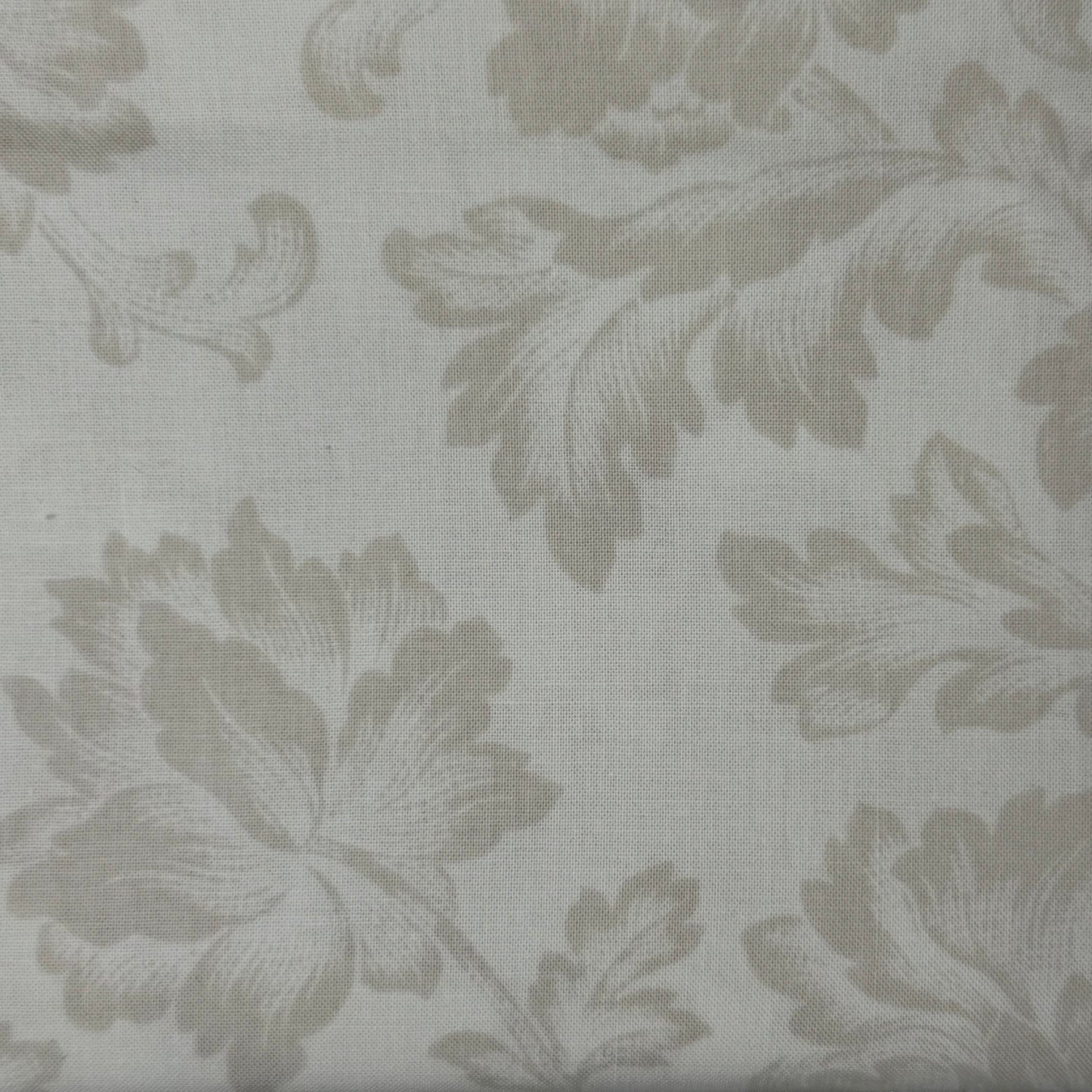 Cream Subtle Fancy Floral Cotton: 2 yds
