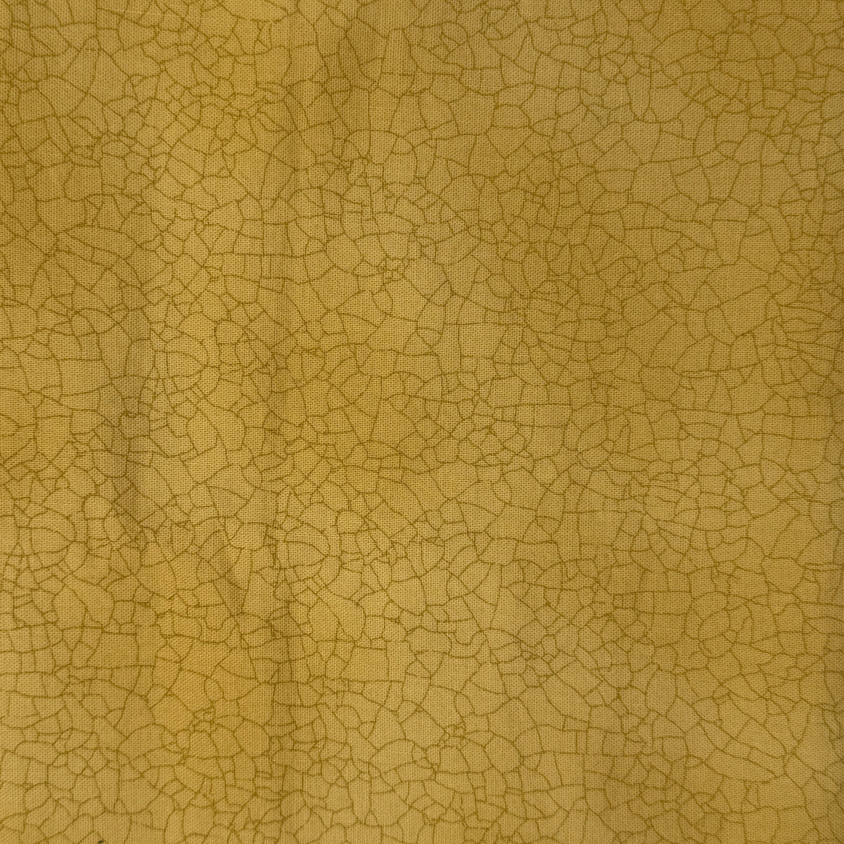 Cracked Surface in the Desert Cotton: 1 yd